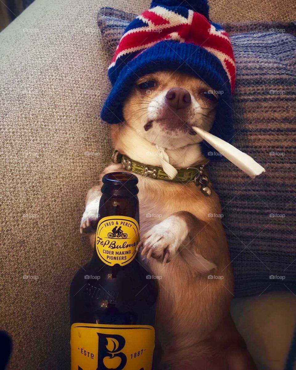 “While mum’s out “ 😆