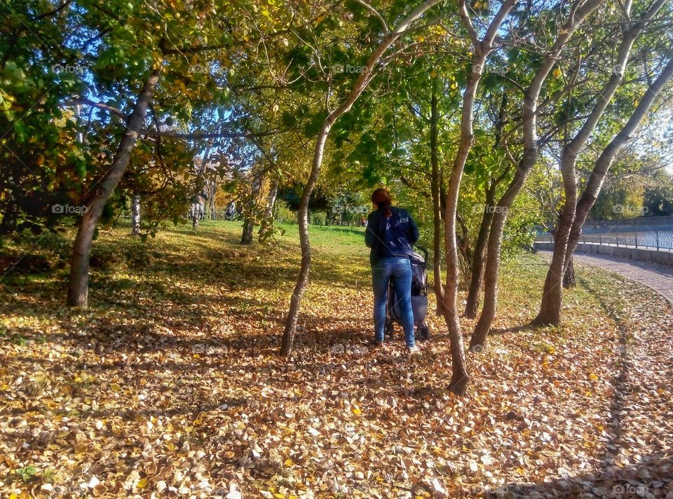 mom with a stroller in the park мама с коляской в парке