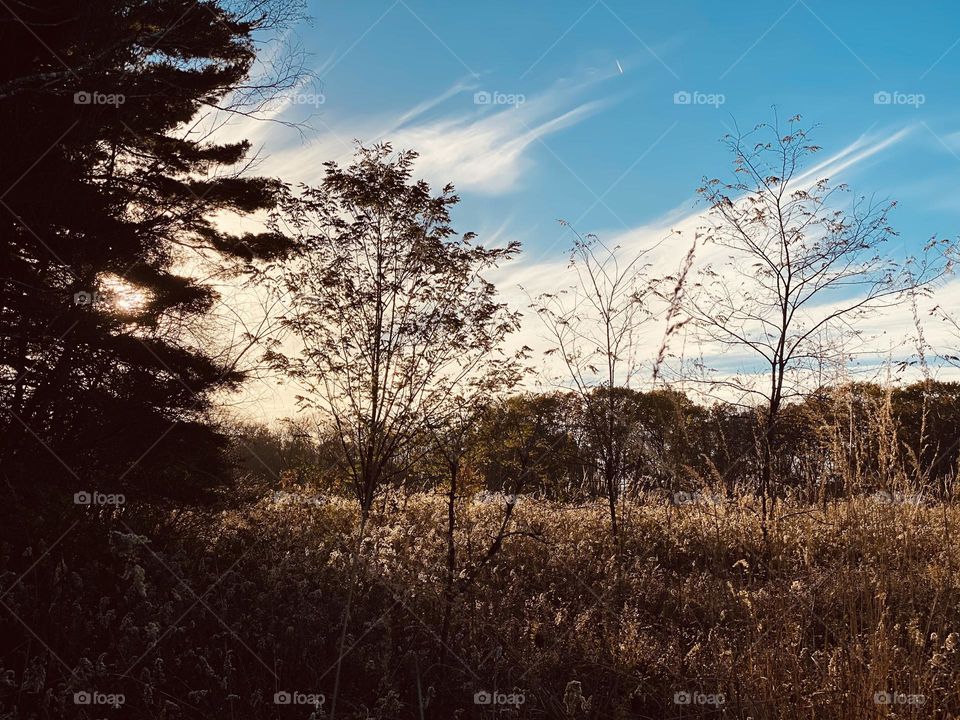 Enjoying a beautiful sky on a warm autumn evening 