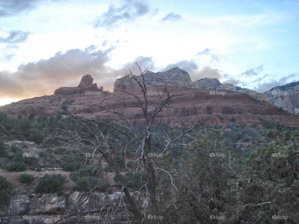 a photo looking up at the red rocks at sunset in Arizona