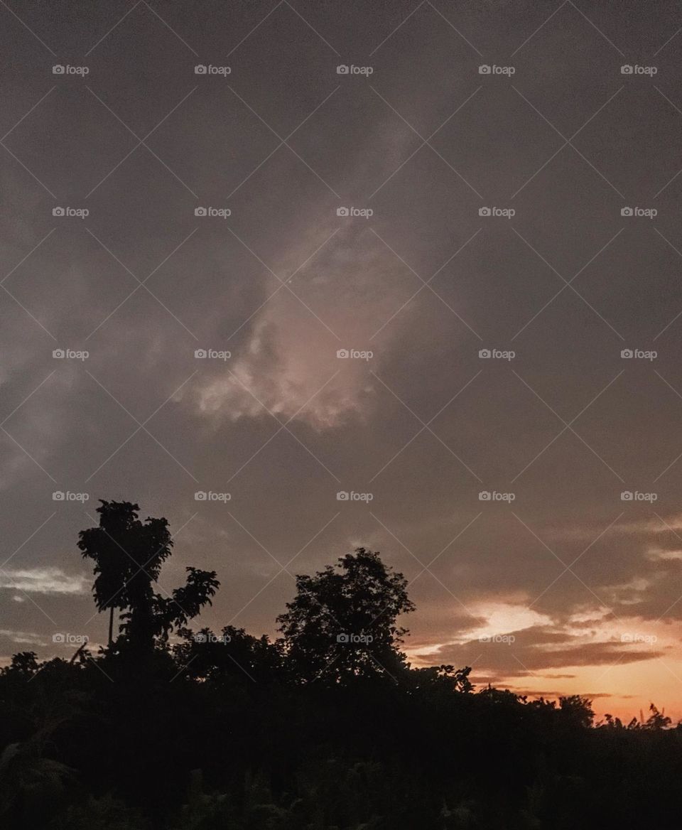 this vacation has made me a night crawler, moving about at night looking for captivating things to capture. this is beautiful though.