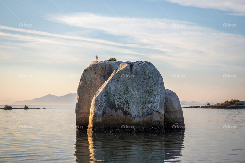 Bird rest quietly on a rock at sunset