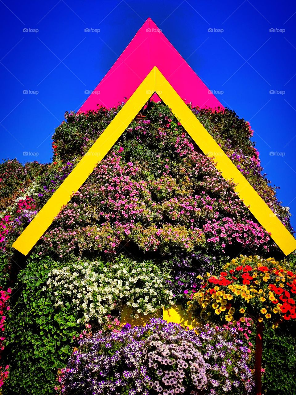 House of multi-colored varieties of petunias.  A sunny day creates a color contrast against a blue sky