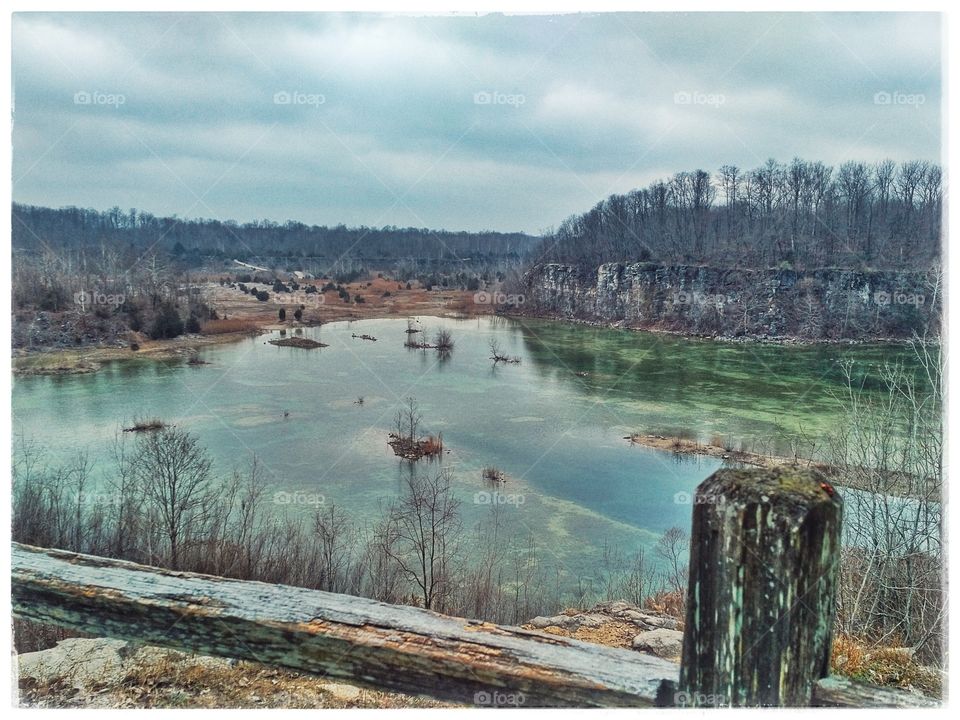 Late fall nature views
