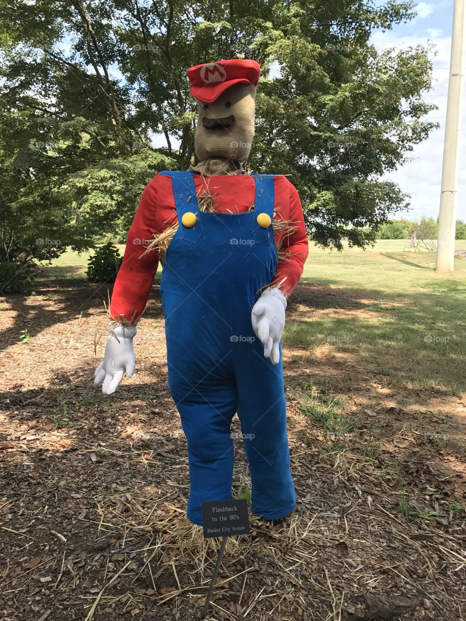 Mario fiction character Nintendo scarecrow out for a stroll