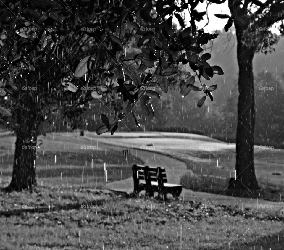 The beauty of black and white - RAIN - empty bench on rainy day on golf course - Great black and white photography is all about telling a story, highlighting a subject and expressing emotions, without the distraction of colors