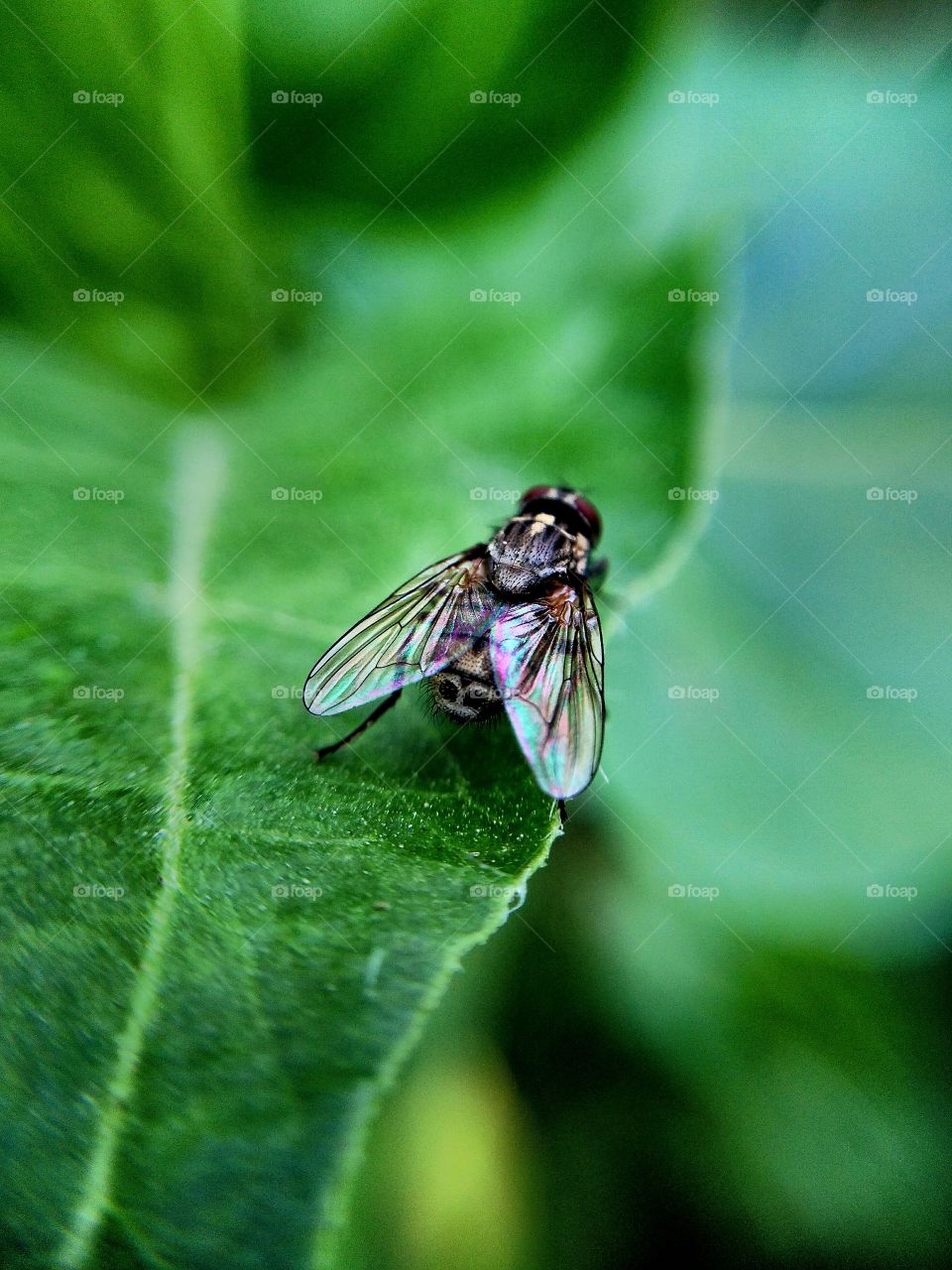 editers' choice: photo of the...