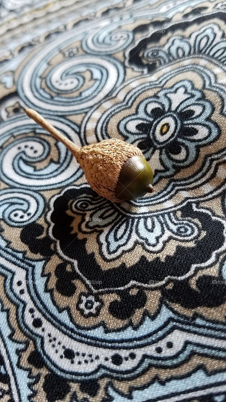 acorn on fabric