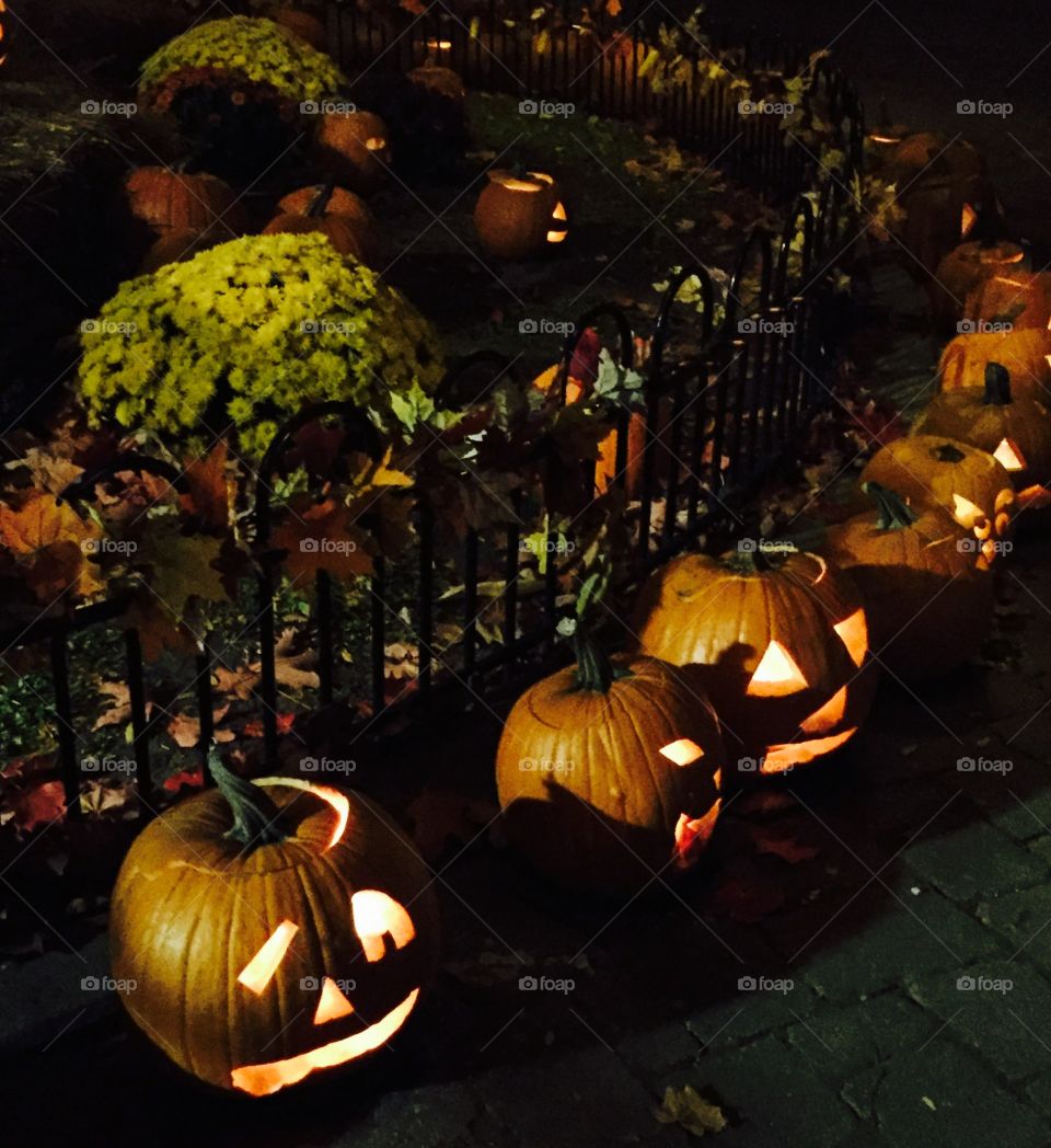 Halloween nights. Greenfield Village Jack o' lanterns line the path during October weekend nights. 