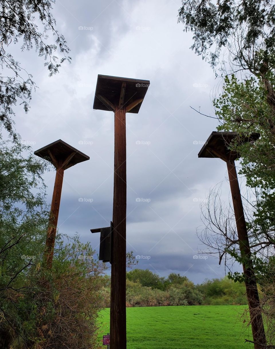 Three Elevated Bird Nest Roosts