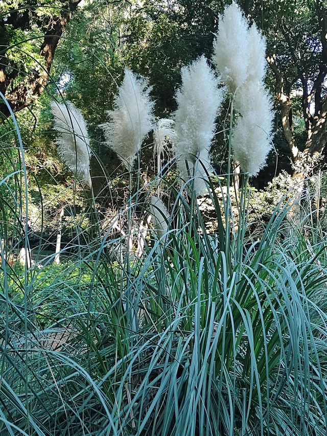 naturaleza # nature