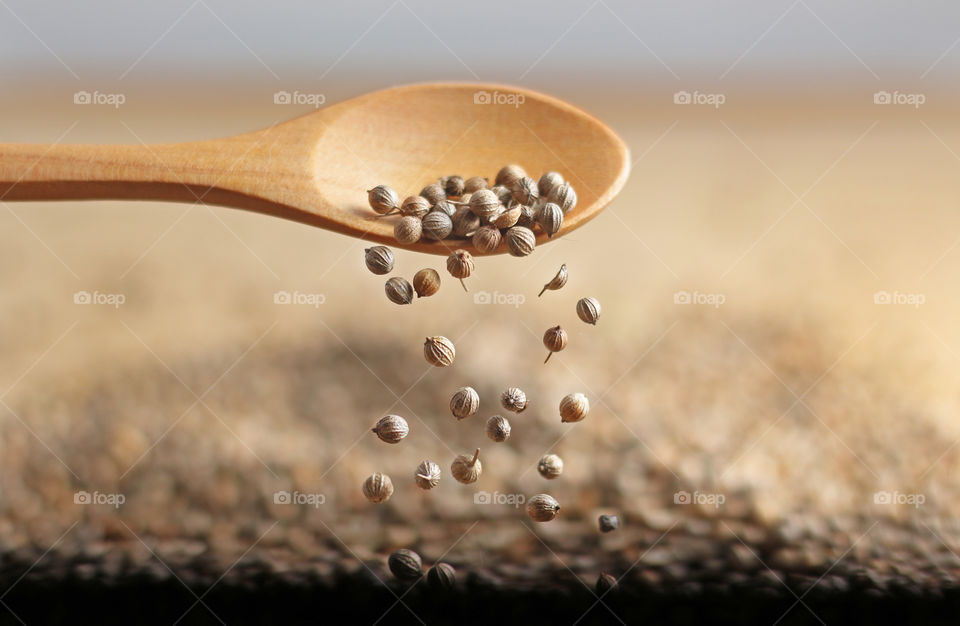 Coriander seeds