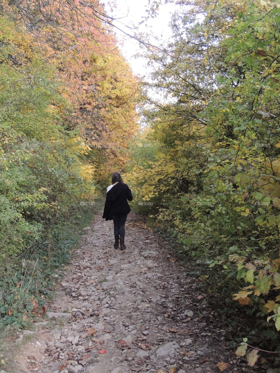 A woman walking through the forest during the autumn 