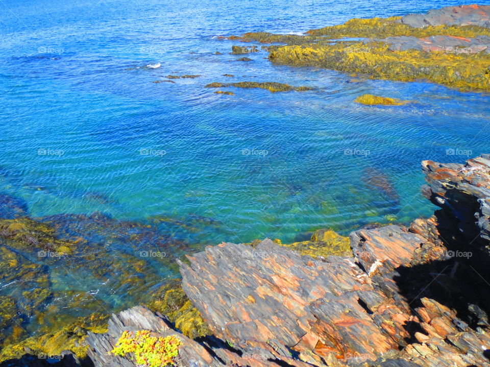 Cliffs Edge. Cliff Edge at Gaff Point