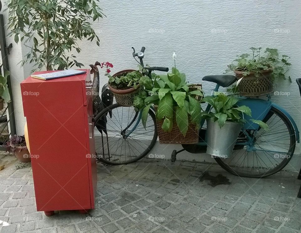 Plant bicycle