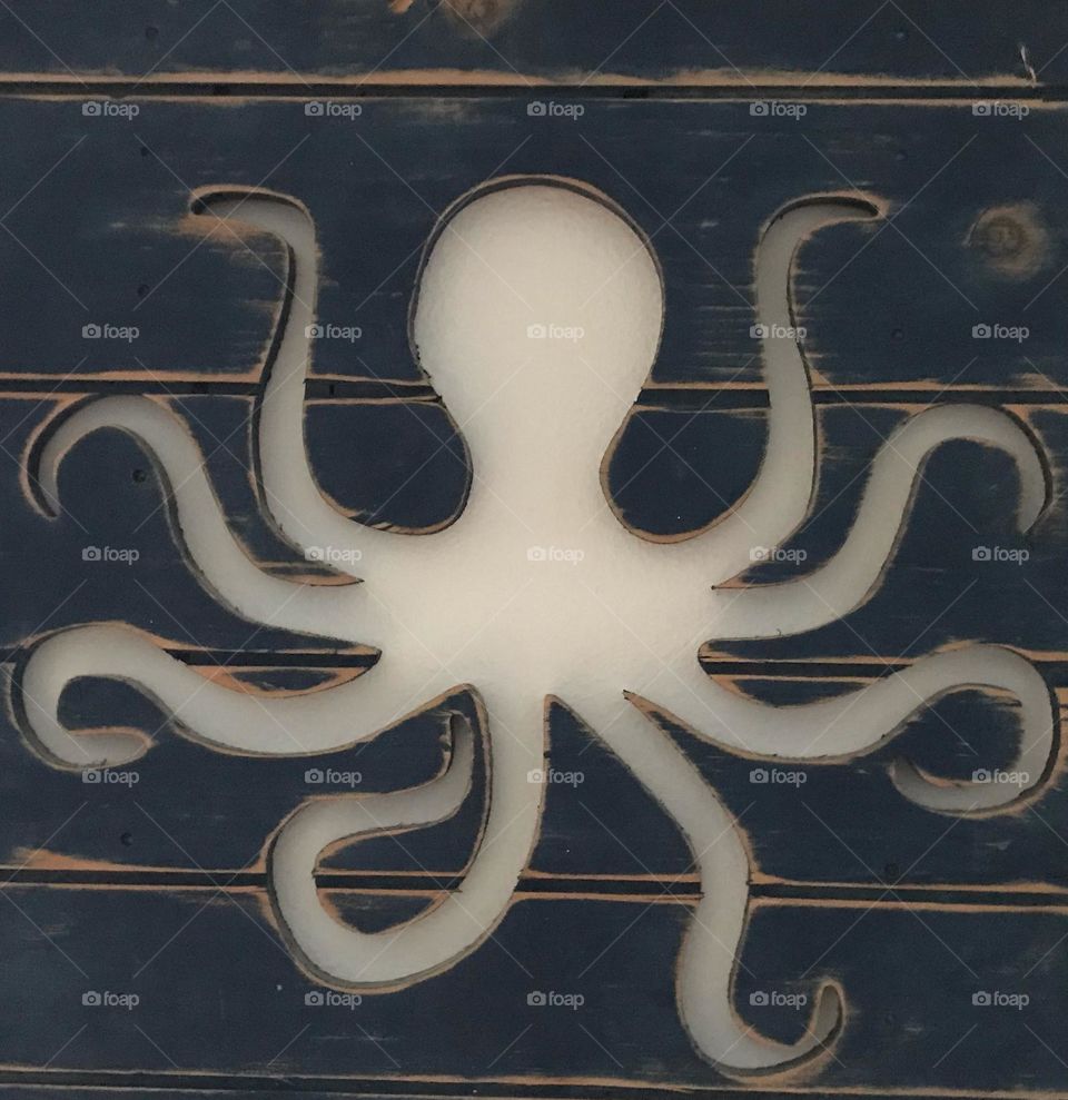 Wall decor of octopus