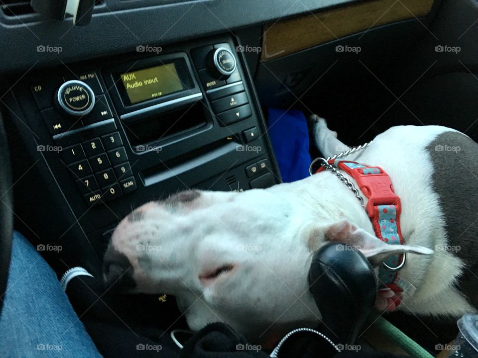 Crashed out in the car!