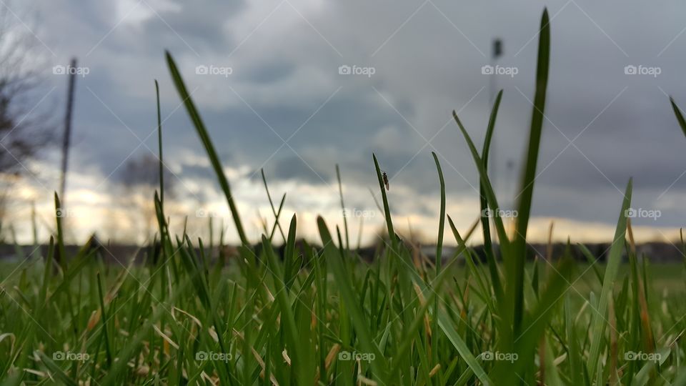 Spring is here!. Walking around Kent State University campus 