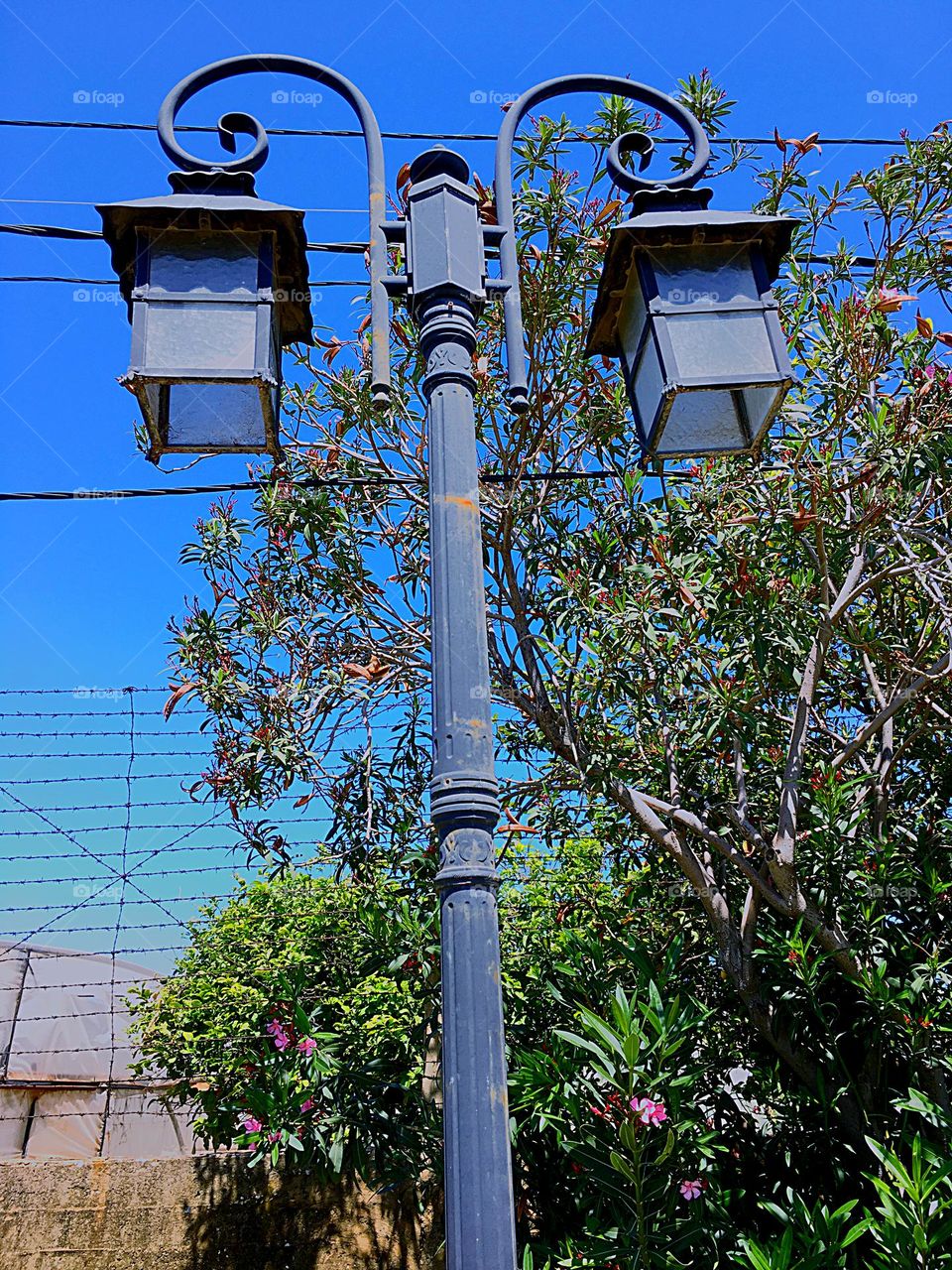 Street light