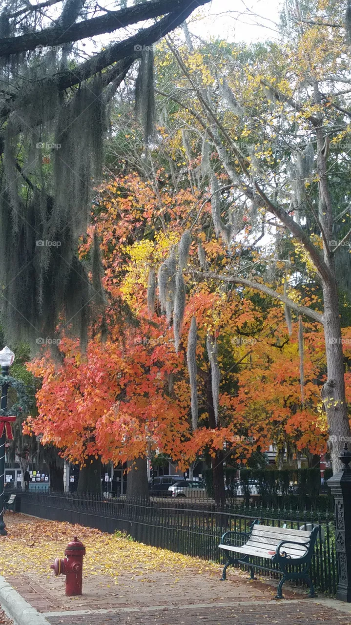 color