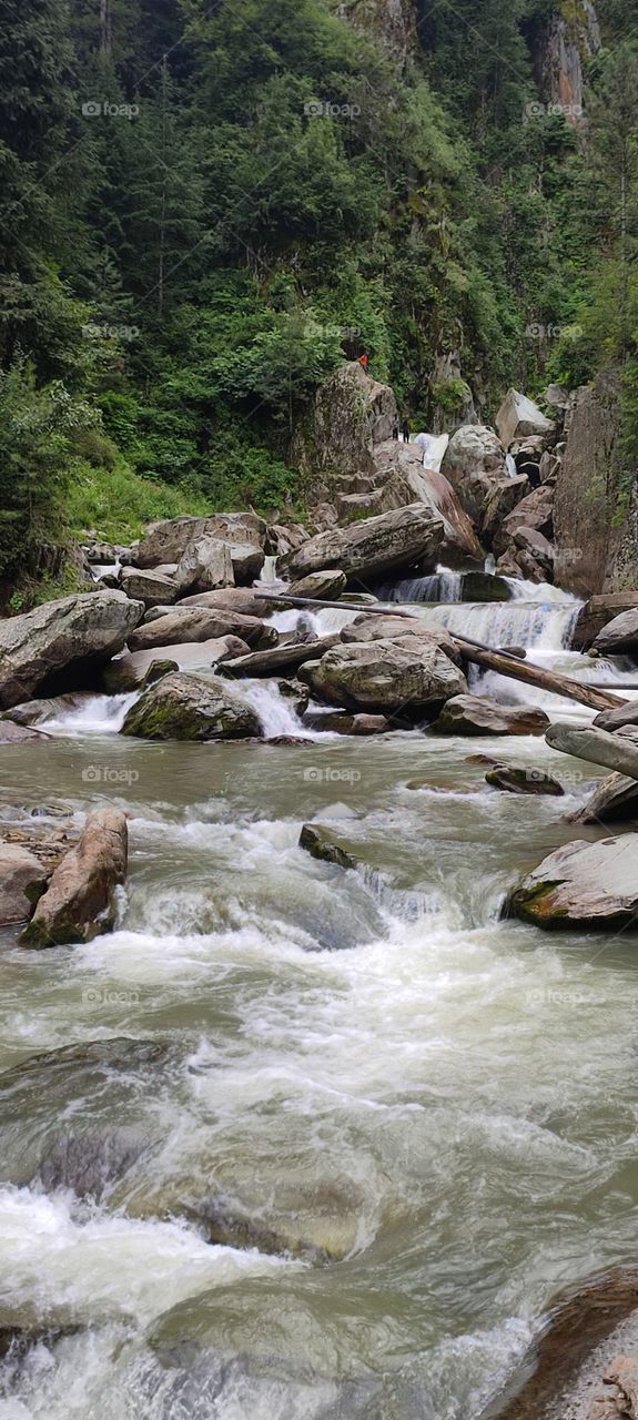 waterfall beautiful view water's