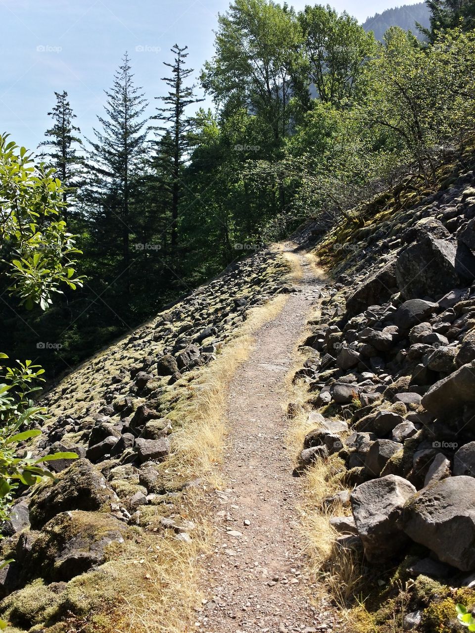 Gorge trail