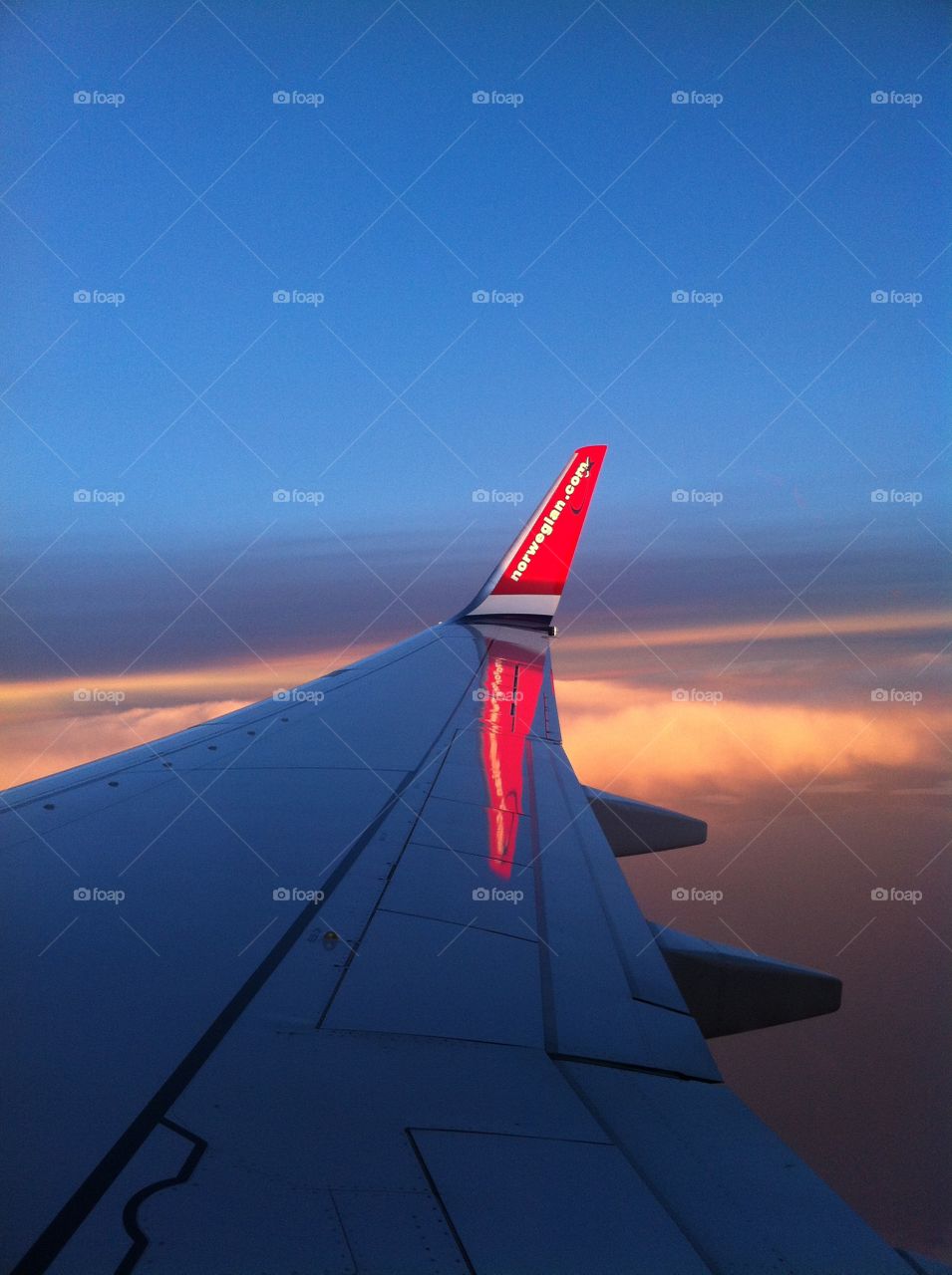 Winglet