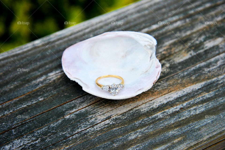 engagement ring. engagement ring inside seashell