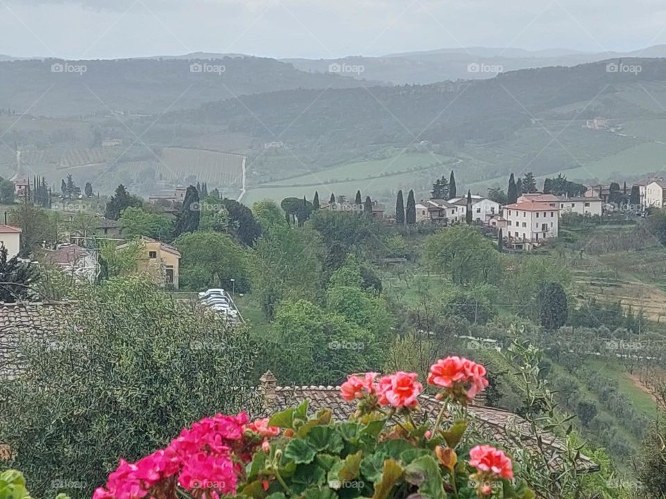 View from the lookout point on the beautiful spring landscape of Tuscany.  Dominance of all shades of green color