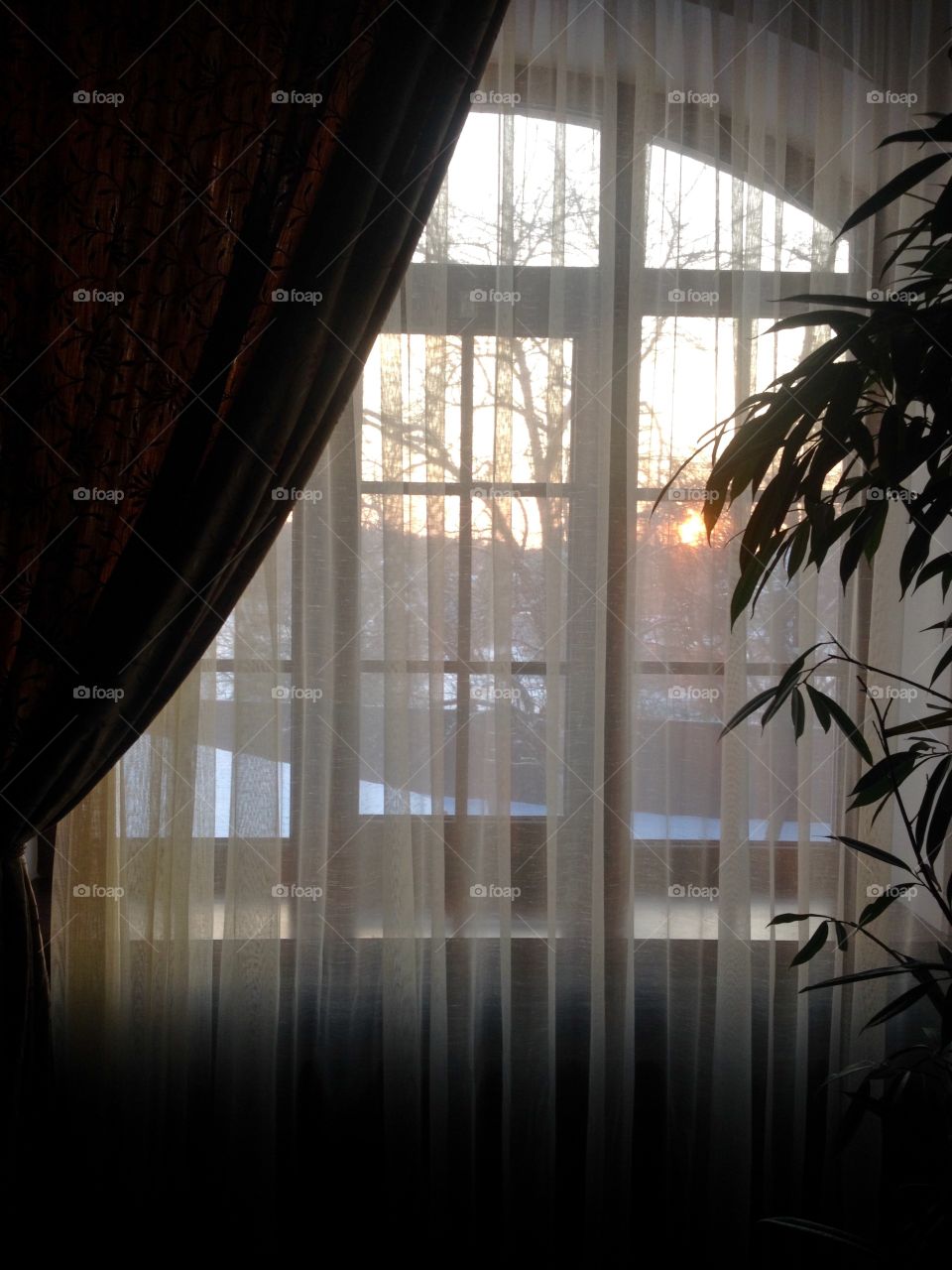 Sunrise through the curtains in the room
