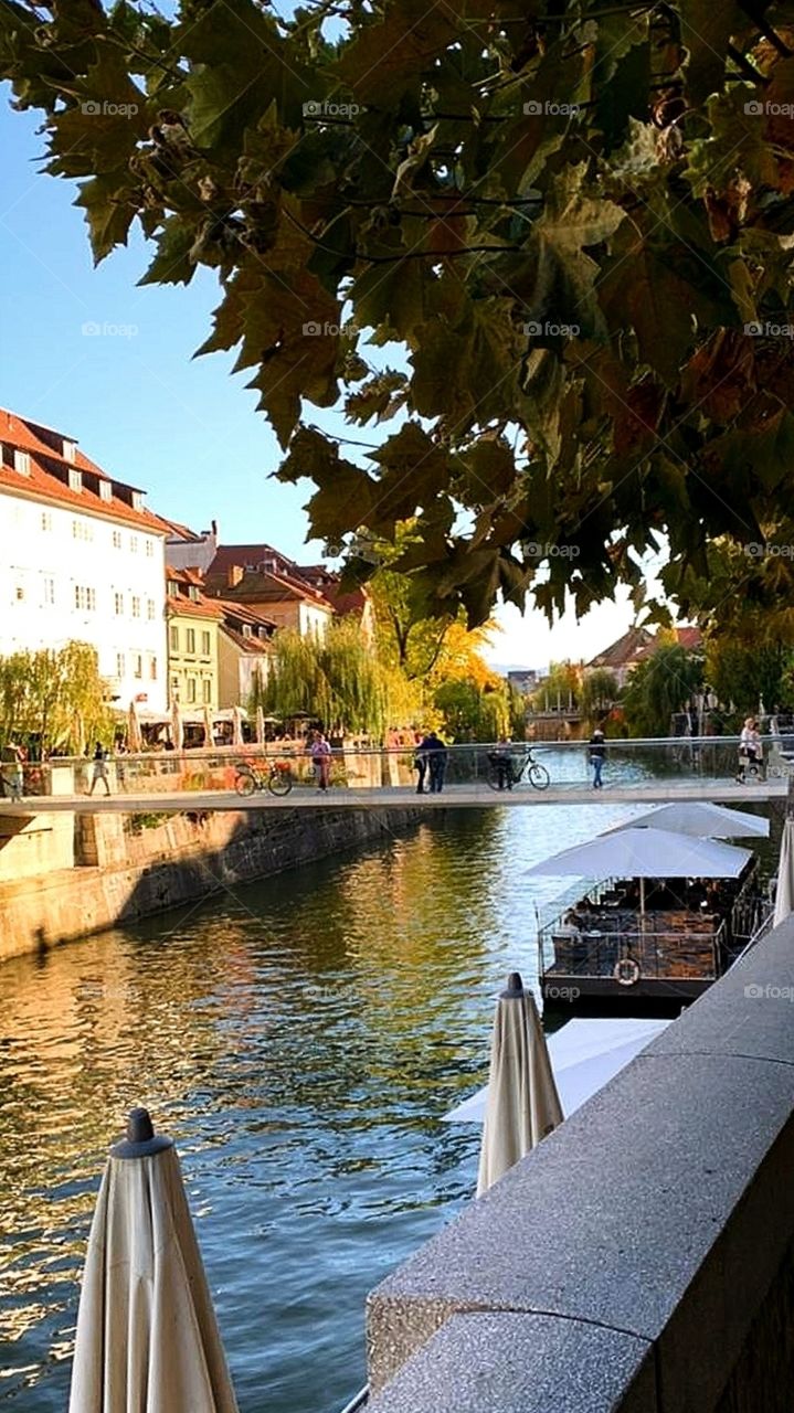 Autumn.  River channel.  Ljubljana.  Slovenia