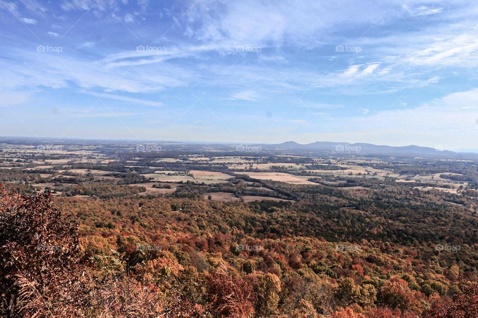 A valley in a remote area in Arkansas far below the road above. 