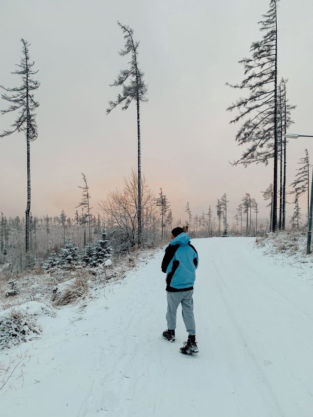 winter walk