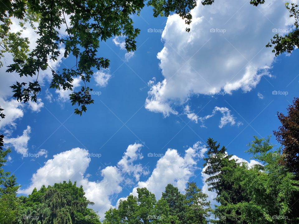 the blue color:summer sky