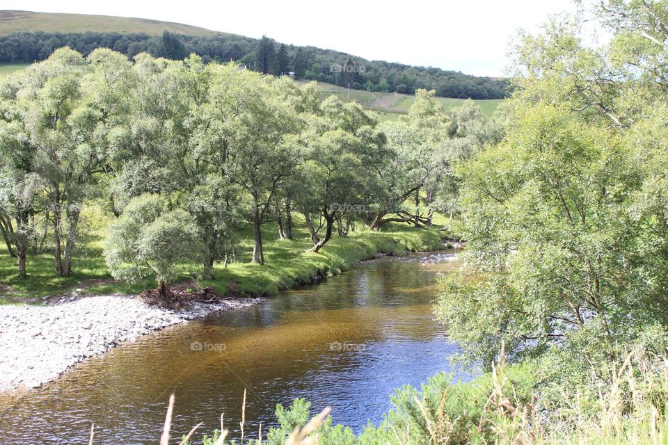 Nature, Water, Landscape, River, Tree