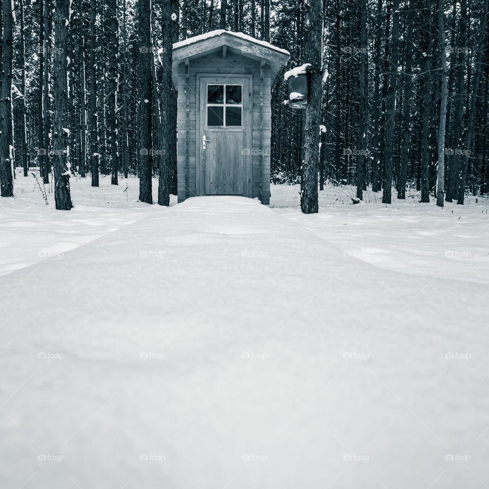 Snow, Winter, Wood, Cold, Tree