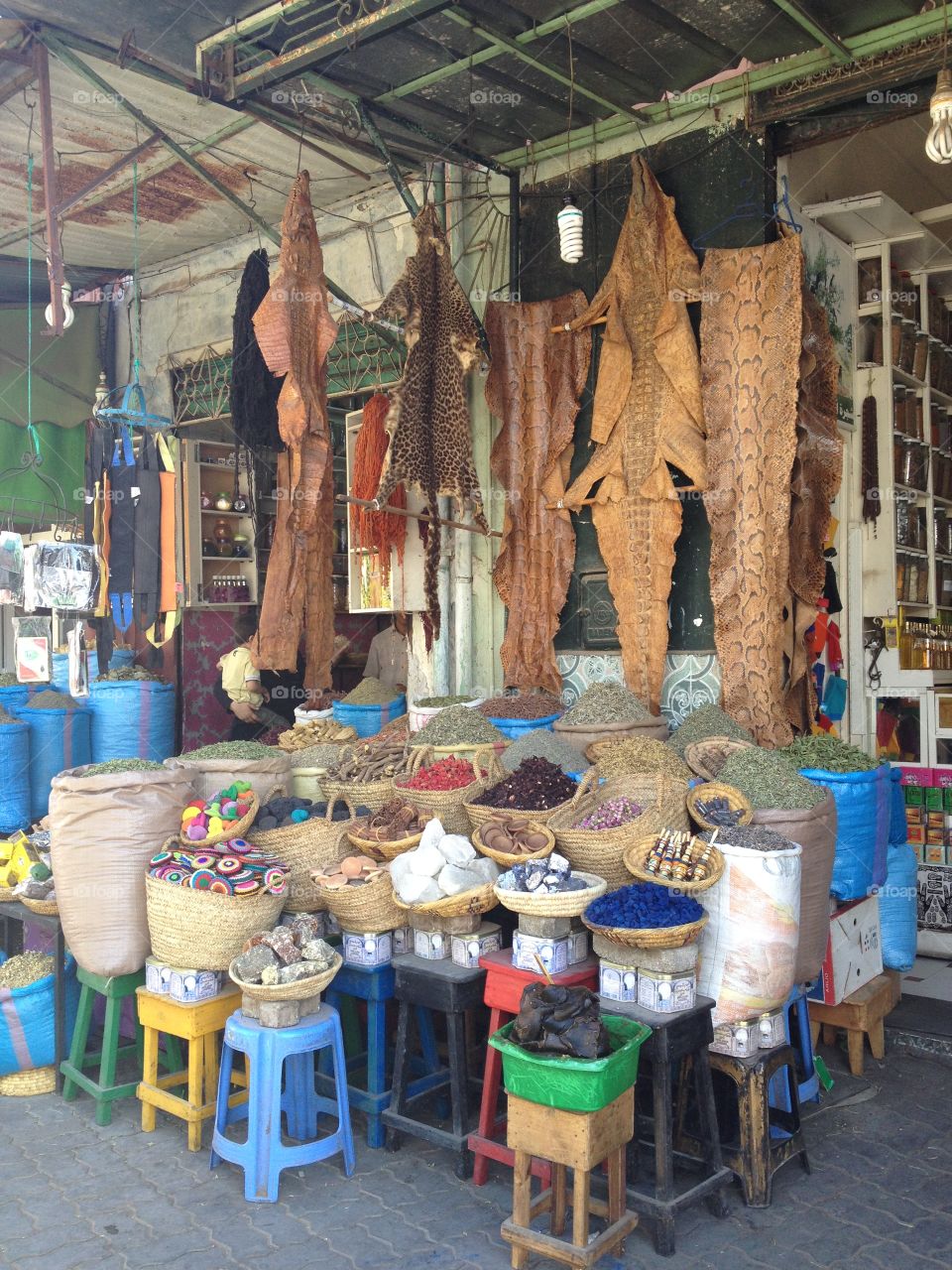 Exotic skins, Marrakech Souk