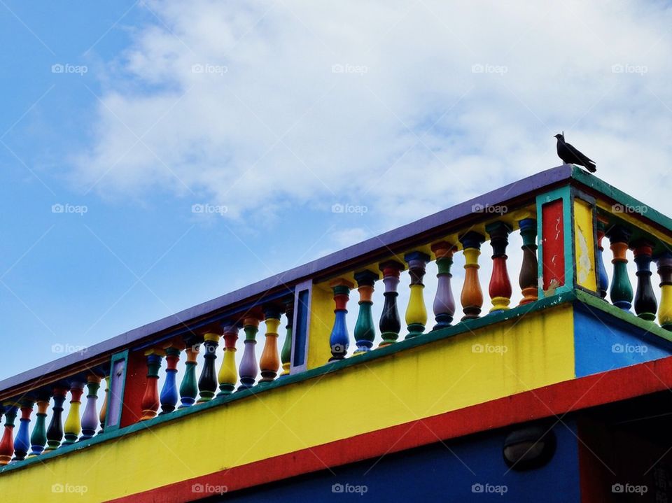 Colorful Balustrade and a pigeon