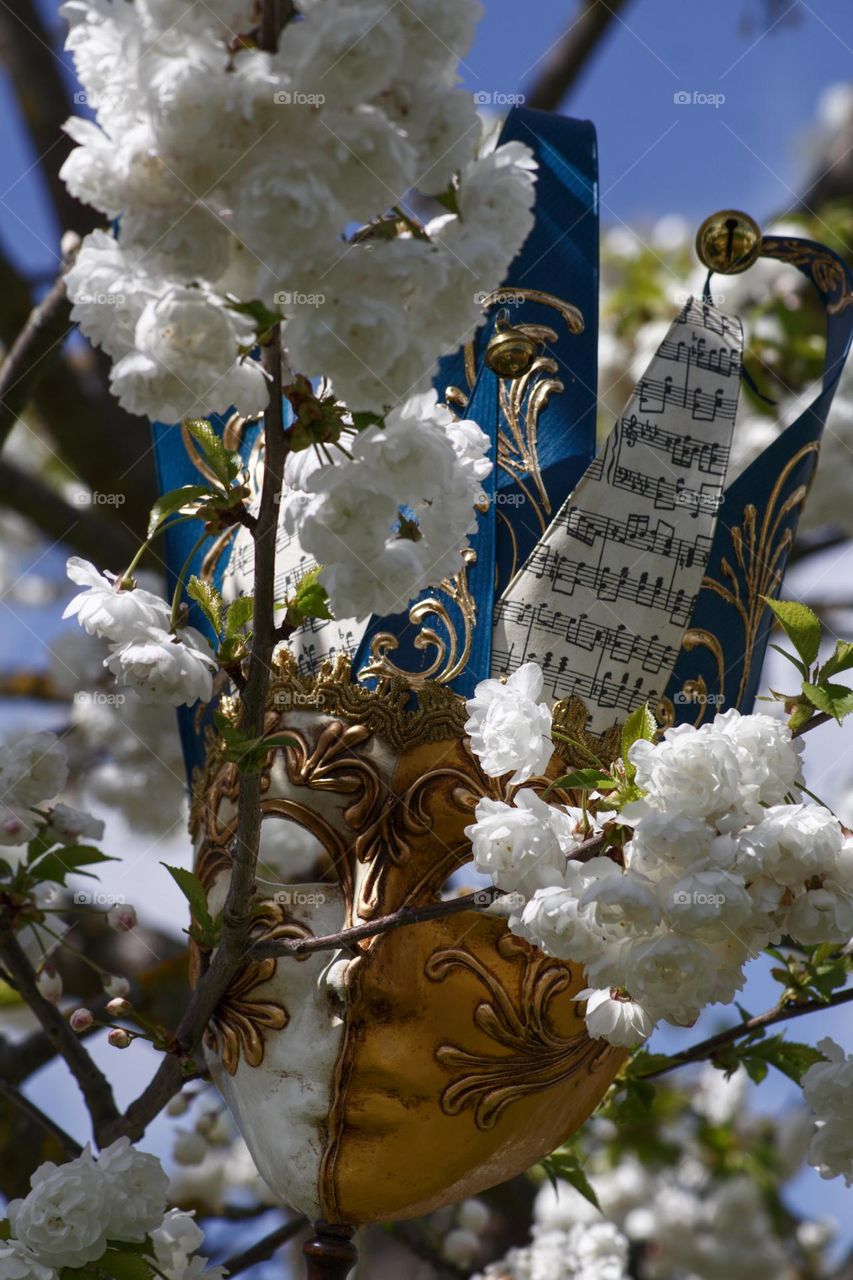 Italian mask with notes on the outside hanging in a tree with white blooms.