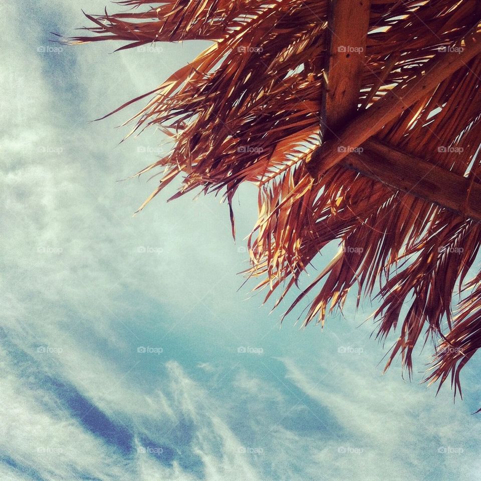 Greek summer by the beach