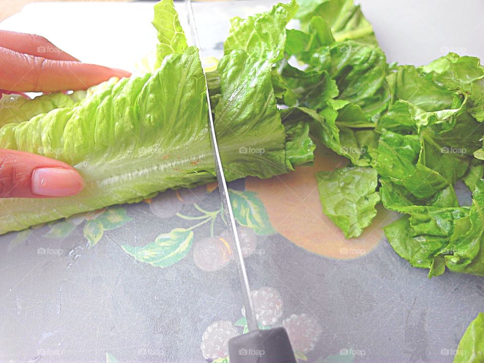 Chopping lettuce 