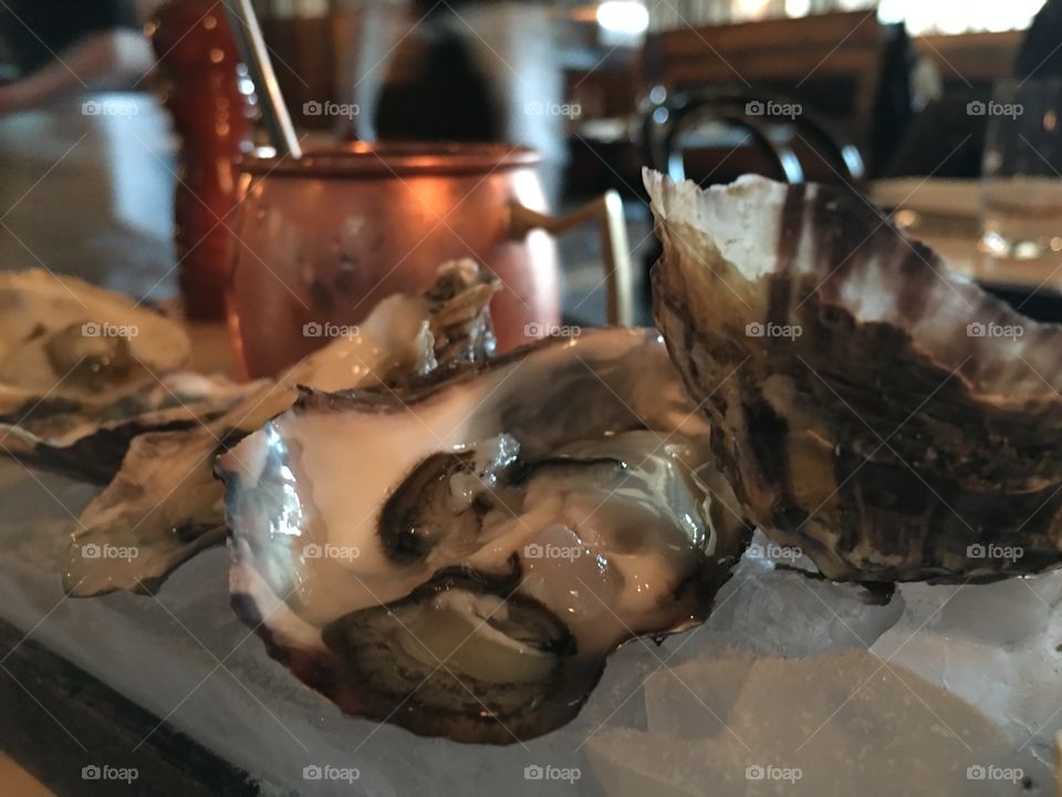 Oysters galore 