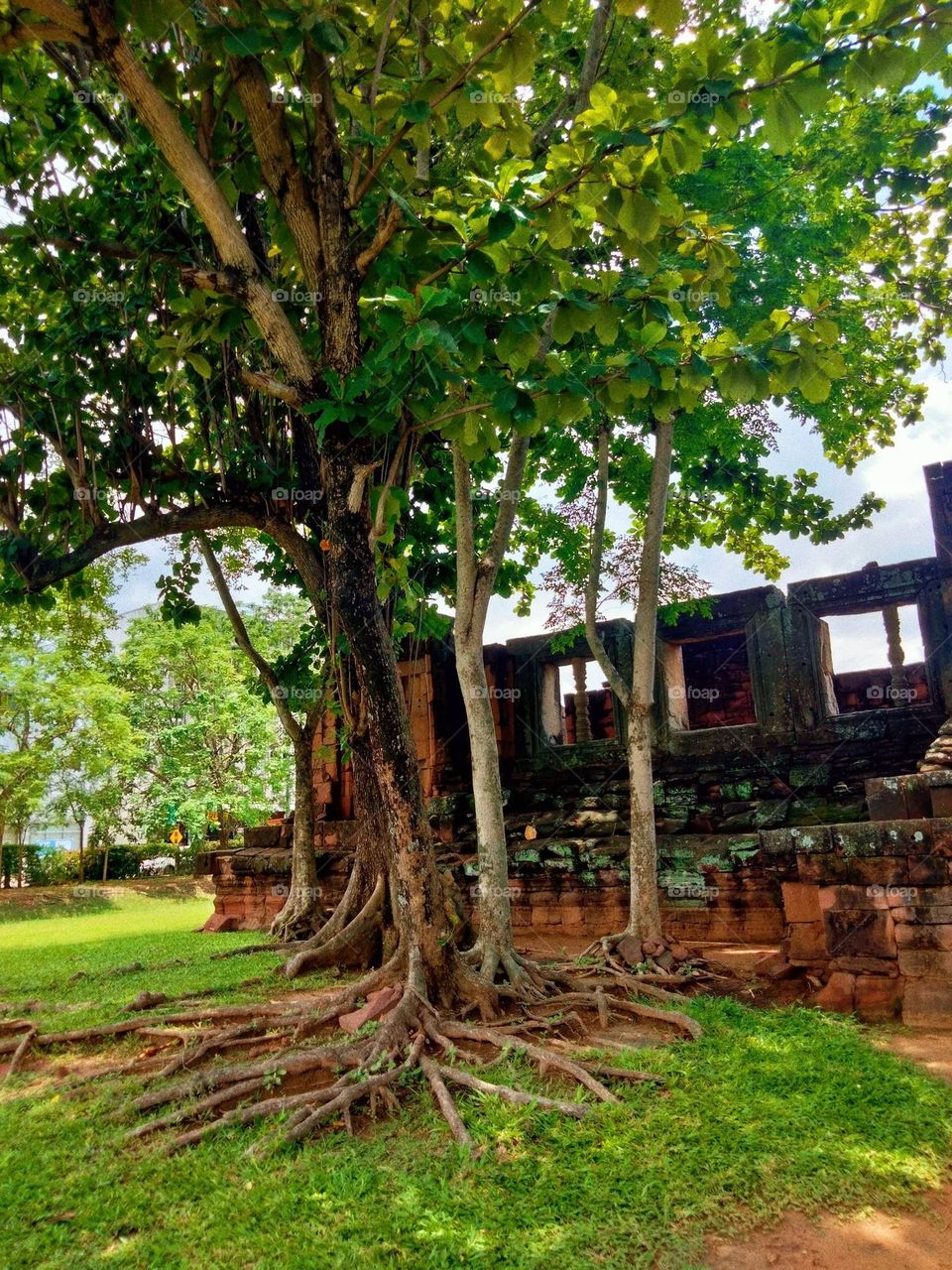 Would you like to come here sometime?