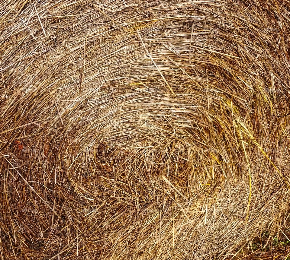 hay bale close up texture
