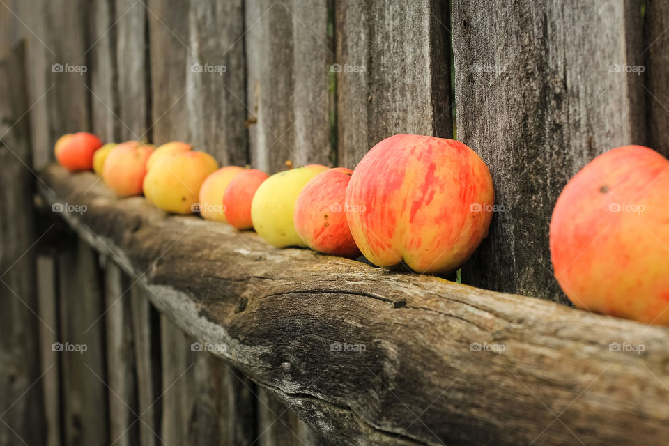 Apples arranged in a row on wood