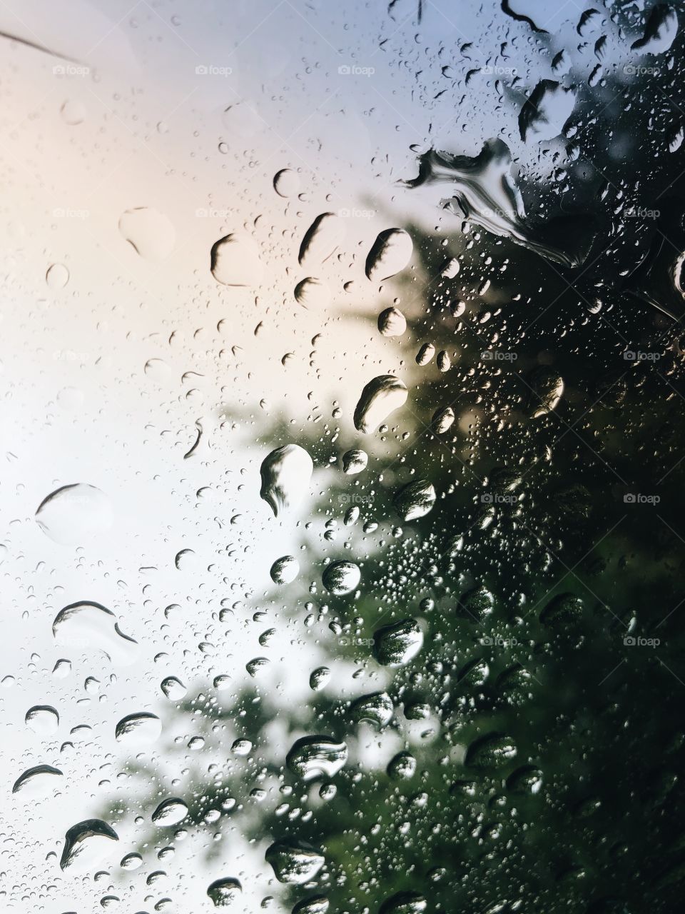 Drop, Wet, Rain, Bubble, Splash