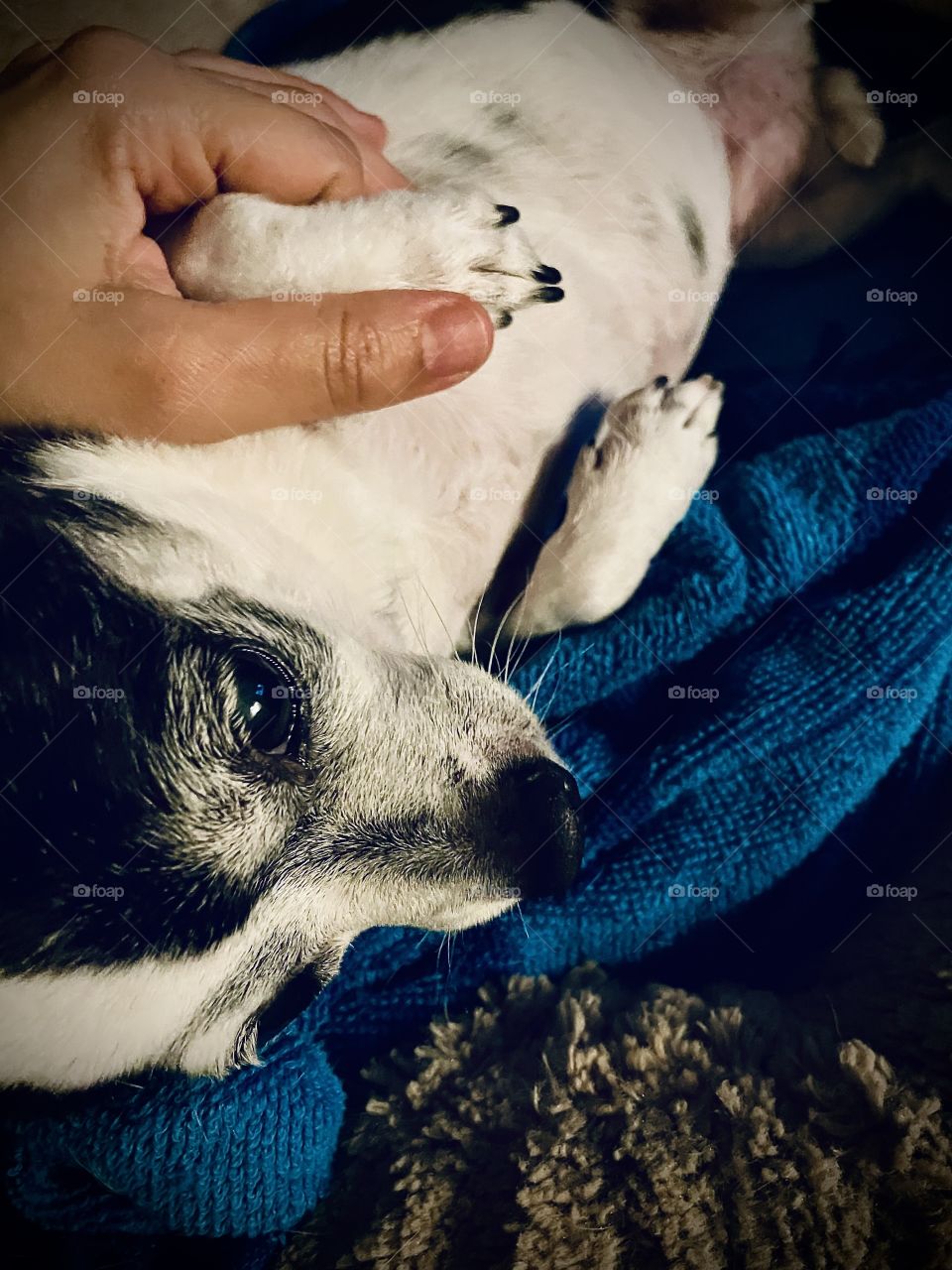 When you have to be hand in hand 