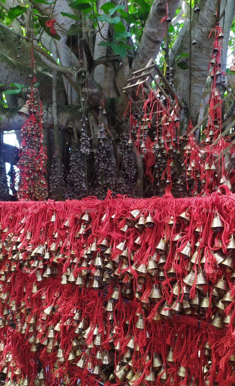 Kattil Mekkathil - A Hindu Devi temple dedicated to Bhadrakali. The photo features a banyan tree with lots of bells.

This is temple that was miraculously spared by Tsunami. The temple is just ten meters away from the sea.