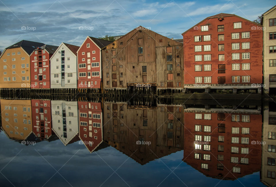 River reflections 