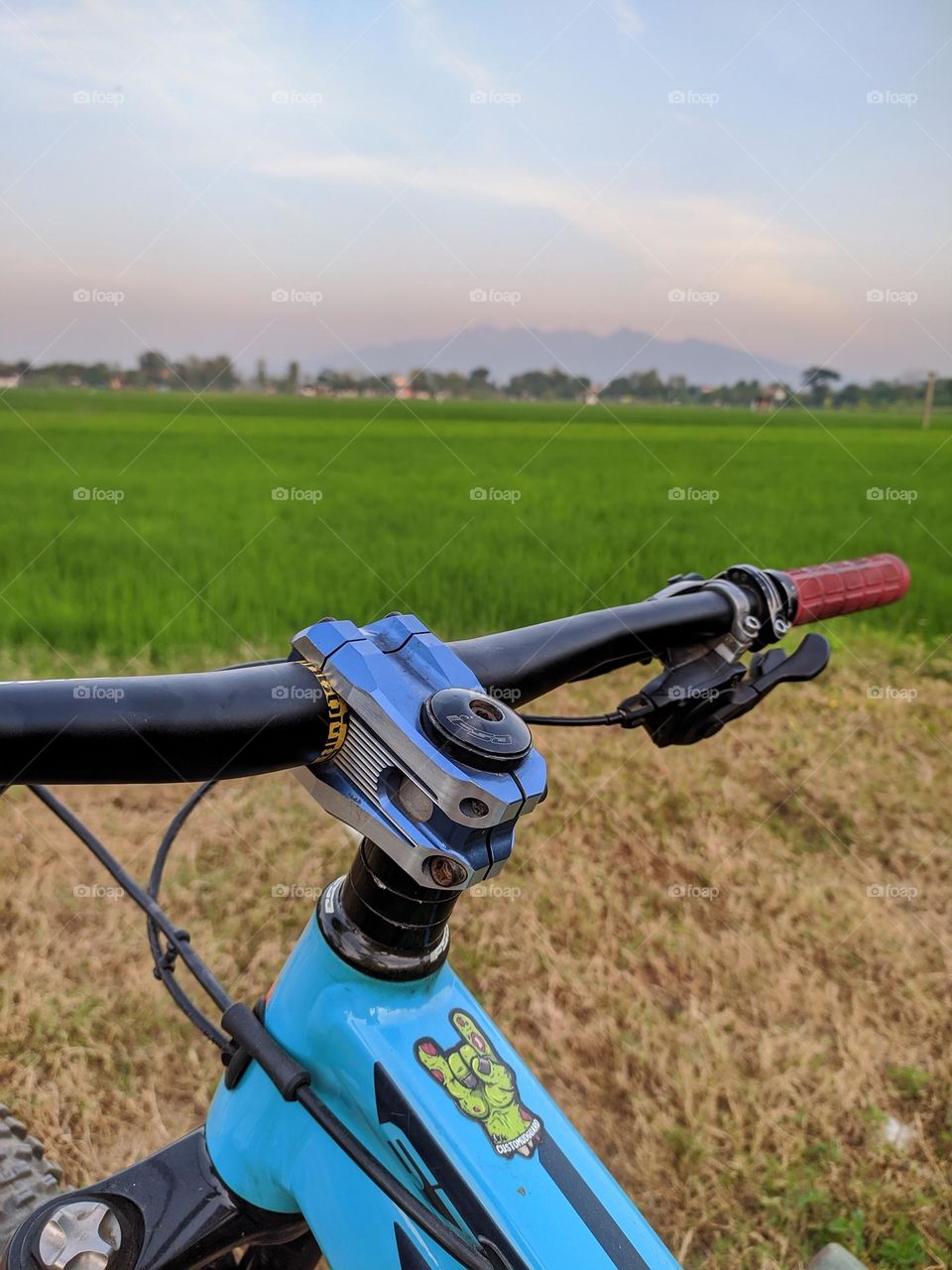 Mountain bike handlebar with nature background